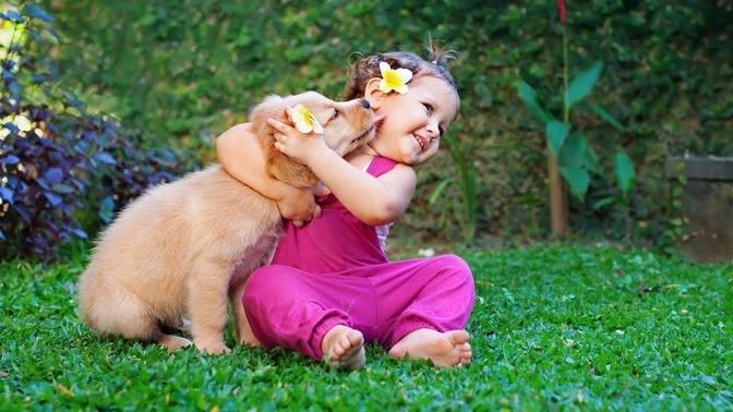 Puppies And Babies Playing Together Compilation