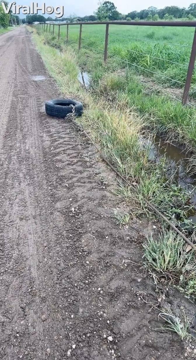 Clever Culvert Cleaning Method Shorts DIY 101 Gan Jing World