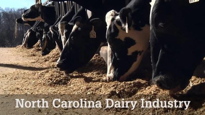 NC Dairy Industry