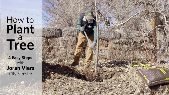 Learn to Plant a Tree with Albuquerque City Forester, Joran Viers
