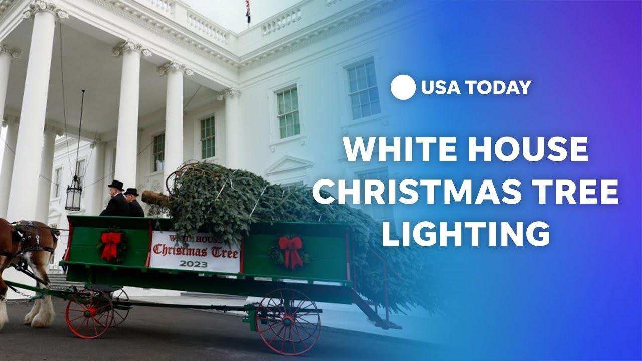 Watch: White House Christmas tree lighting