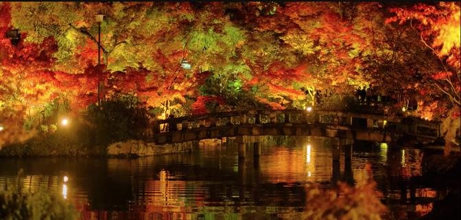 【京都の紅葉】ずっと行ってみたかった秋の観光シーズンピークの天授庵と永観堂ライトアップ/Autumn Leaves Light up at Eikando Temple and Tenjuan