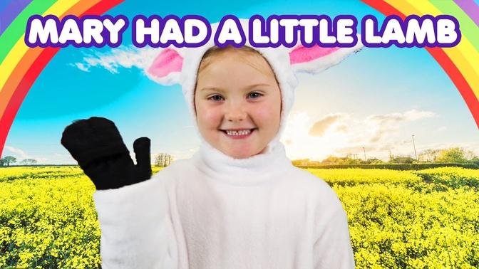 Mary Had a Little Lamb | Nursery Rhymes