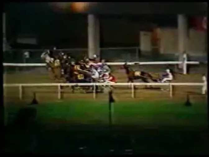 Harness Racing,Harold Park-31/03/1981 (Koala King-B.P.Hancock)