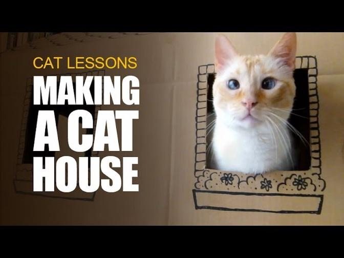 How to Make a Cardboard House for Cats