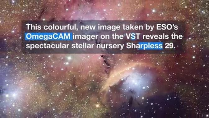ESOcast 142 Light: Stellar Nursery Blooms into View (4K UHD)