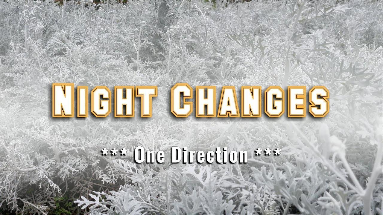 NIGHT CHANGES - (Karaoke Version) - in the style of One Direction