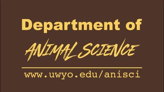 UW Department of Animal Science | Leading the Way From Field to Lab