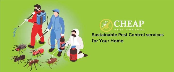 Sustainable Pest Control services for Your Home