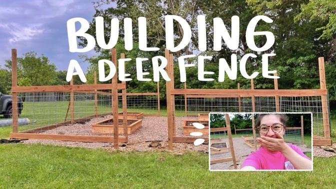 BUILDING A DEER FENCE AROUND MY GARDEN - it's finally finished!! | garden vl og