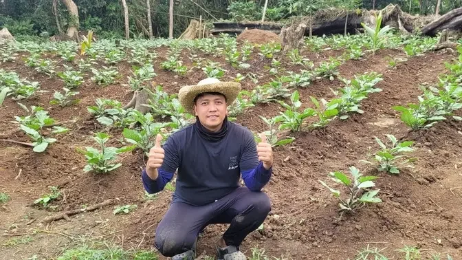 Succesful pagtatanim natin ng talong finally may mga bulaklak na sila