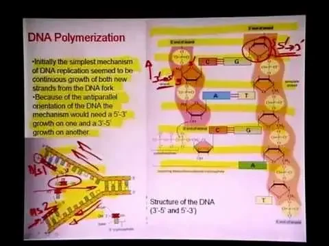 Mod-01 Lec-17 Lecture-17