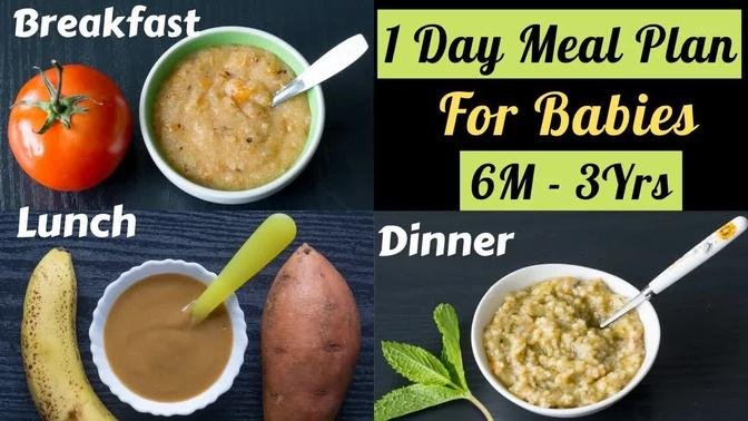 1 Day Meal Plan for 6M-3Yr Babies | 3 Healthy Homemade Baby Food Recipes | Breakfast, Lunch, Dinner
