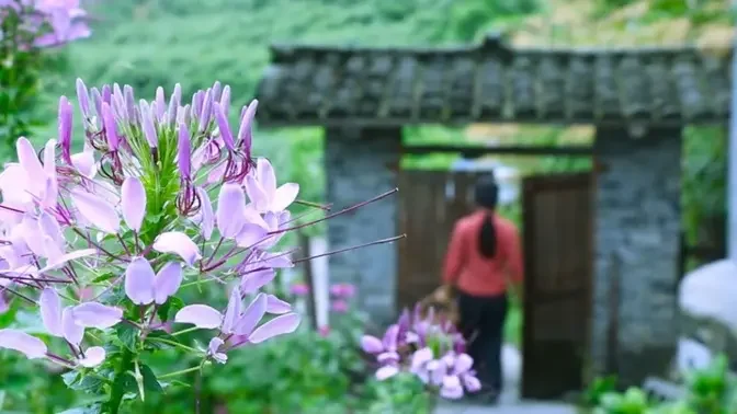 Enjoy Beautiful nature with rural life @vannlydaviraltv