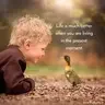 Memorable Quotes And Motivational Videos