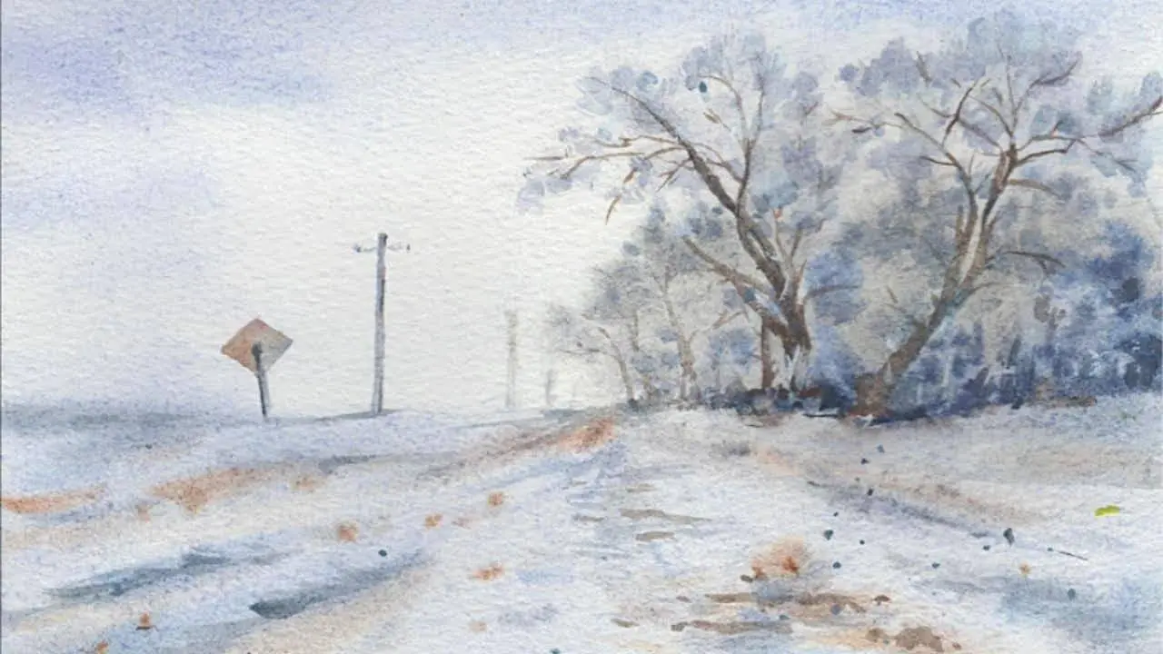 水彩自学，穿雪衣的小树，画起来吧