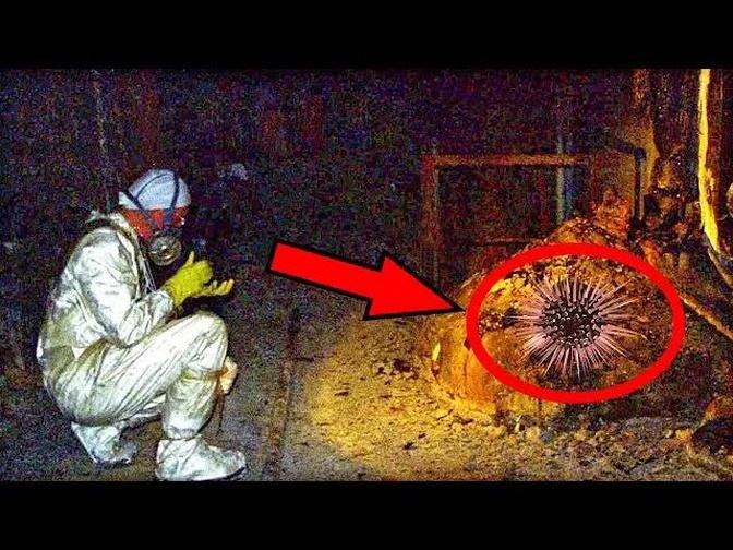 12 Most Mysterious Finds That Scientists Still Can't Explain
