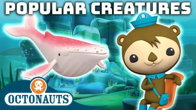 Octonauts - Popular Creatures | 100 Mins+ | Cartoons for Kids | Underwater  Sea Education