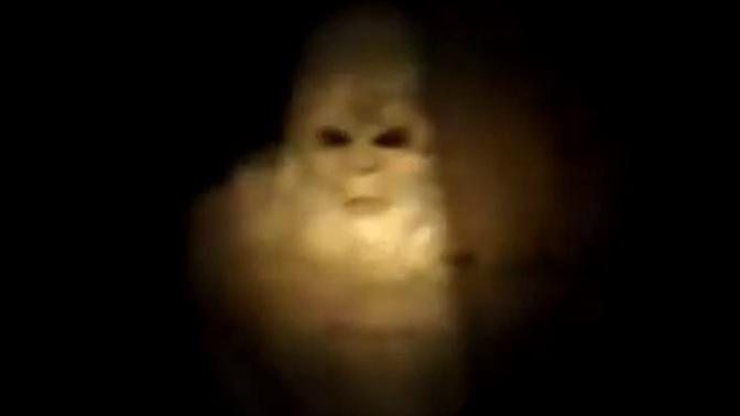 Top 5 Compelling Bigfoot Sightings Caught on Camera