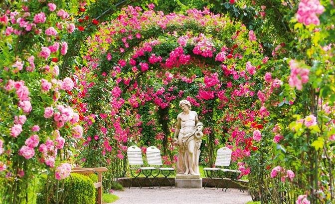 Transform Your Front Door With 10 Stunning DIY Rose Garden Ideas
