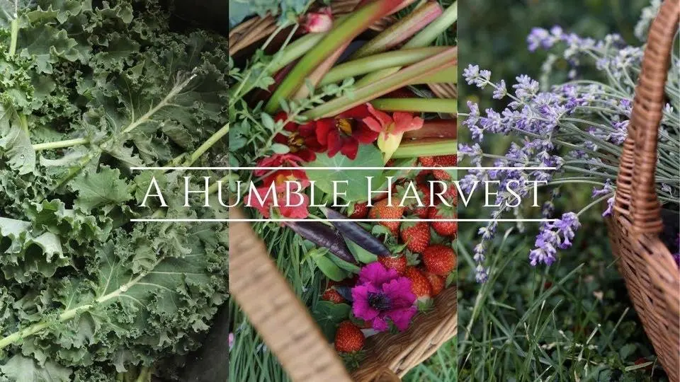 A Peaceful Garden Harvest
