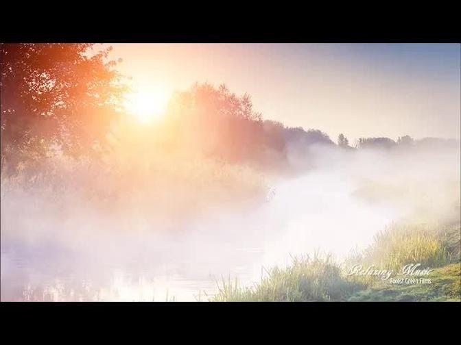 Dreamy Dawn | 4 Hours Relaxing Music, Sleep Music, Study Music, Music Therapy for Stress Relief