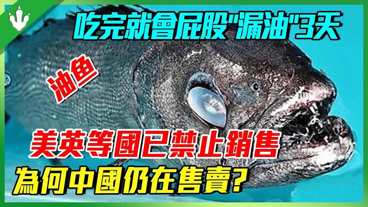 吃完屁股“漏油”3天的“油鱼”，美英等大国都已禁止销售，为何中国仍在售卖？