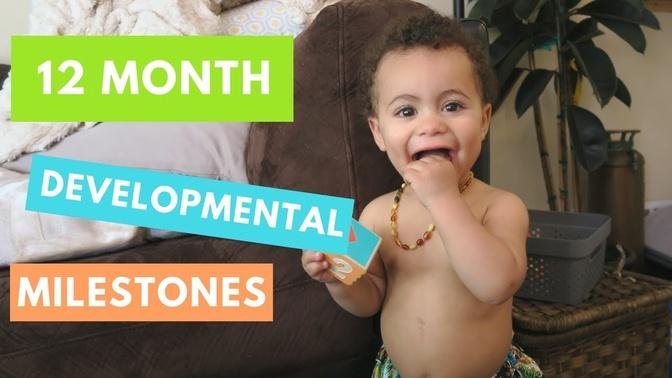 1 Year Old Typical Developmental   Developmental Milestones
