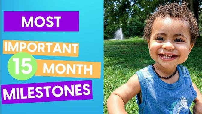 15 Month  Developmental Milestones That are MOST IMPORTANT to Know   CHILD DEVELOPMENT