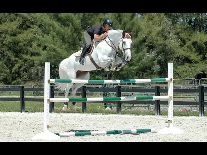 Horse Jumps ProTips - Ride-A-Course with Todd Minikus