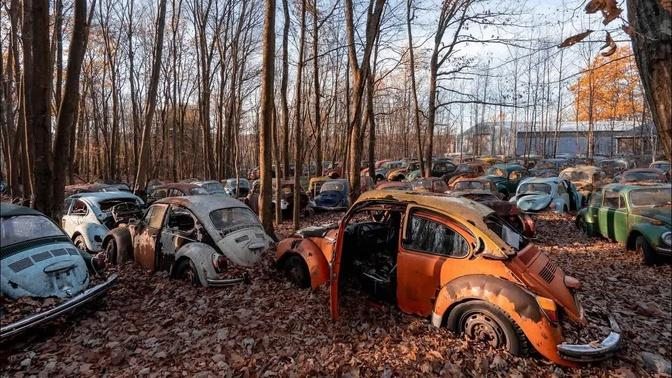 Exploring The Magical Volkswagen Forest - Hundreds Of Cars Left Behind