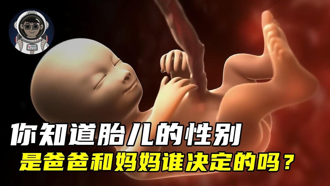 你知道胎儿的性别，是由爸爸决定的还是妈妈决定的？