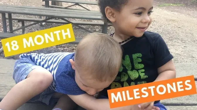 18 Month Developmental Milestones | Baby Developmental Milestones