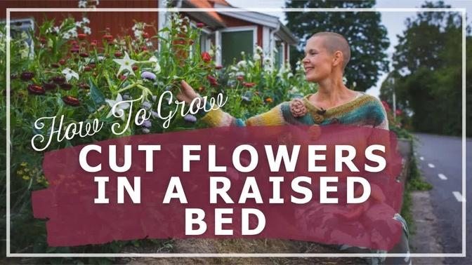 Cut Flowers in a Raised Bed – How to Grow