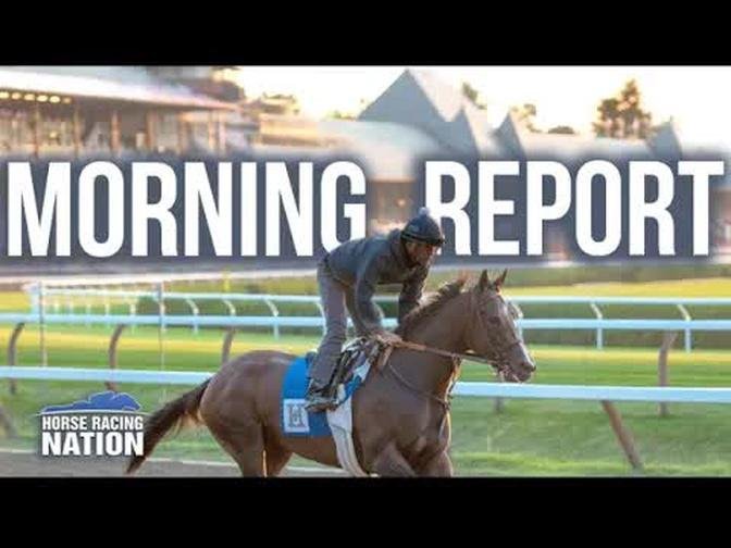 Saratoga Morning Report - Friday, August 12, 2022