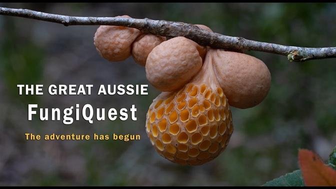 THE GREAT AUSSIE FUNGIQUEST - THE ADVENTURE HAS BEGUN
