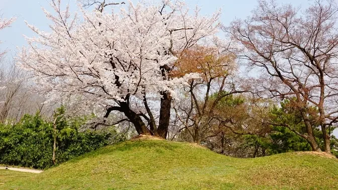 잔잔한 감동의 순간들