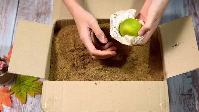 NO REFRIGERATOR Store And Keep Lemons Limes Fresh FOR MONTHS no-refrigerator-store-and-keep-lemons-limes-fresh-for-months