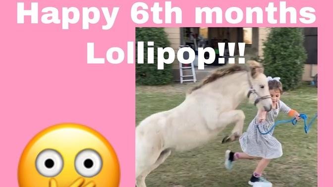 Short Video of a 6 month old mini horse jumping!!!