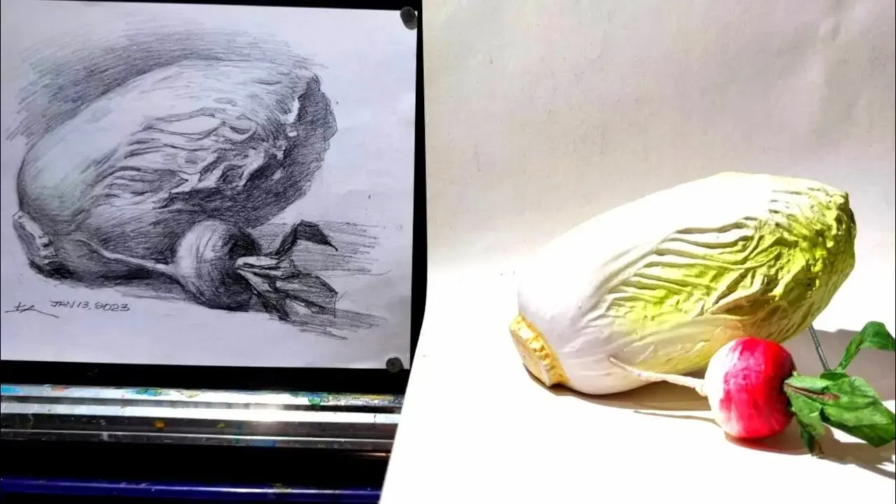 【土人教画】487 素描静物-白菜和萝卜 terrain art class sketchingCabbage and radish 土人老师网课报名微信号：16478318998