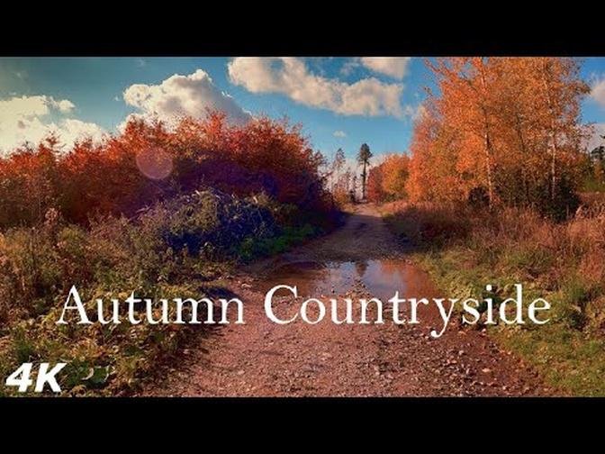 Autumn Countryside Walking _ Sounds of Walk _ 4K _ Forest Road _ Virtual Walks _ Colours Of Nature.m