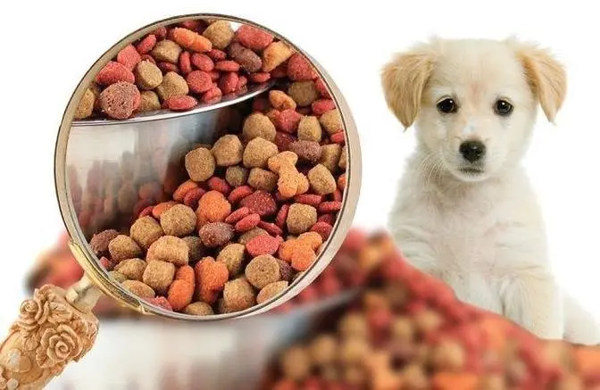 Comprehensive Analysis of Pet Food Market: Trends, Challenges, and Opportunities 2032