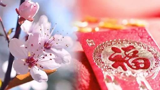 🌸🎧善恶一念间（第341集） 读《为什么会有人类》而惊醒