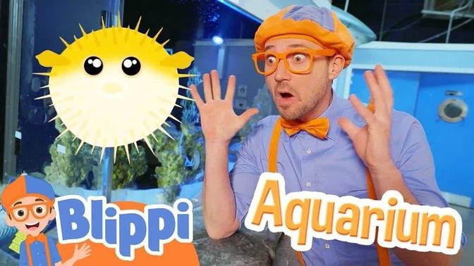 Blippi Meets a Puffer Fish at the Aquarium! Educational Videos for Kids