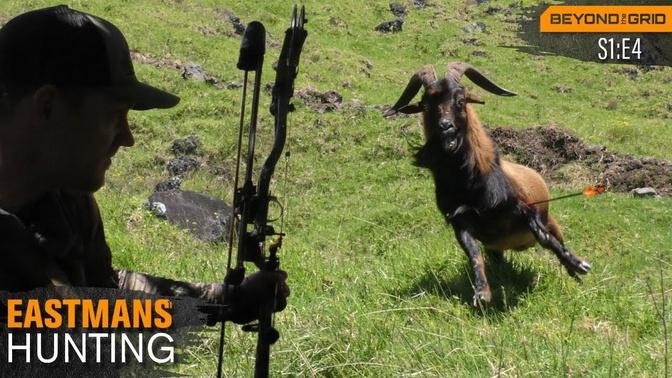 A Bow Hunting Paradise! Hunt Hawaii_ Axis Deer, Pigs & Goats.