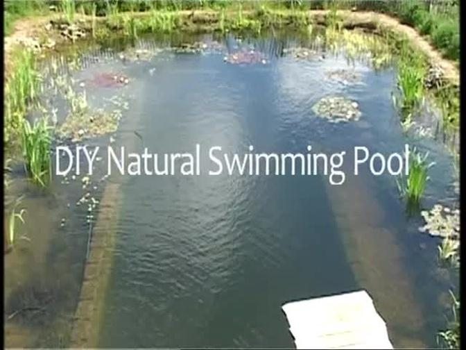 DIY Natural Swimming Pools