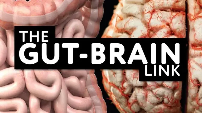 Gut-Brain link