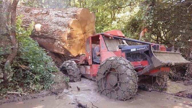 Dangerous Idiots Monster Logging Wood Truck Driving Skills, Fastest Climbing Truck Heavy Equipment