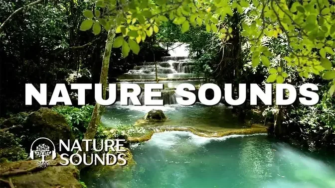 Nature Sounds Waterfall Water Sounds Forest Sounds Relaxing Nature Sounds Calming Nature Sounds