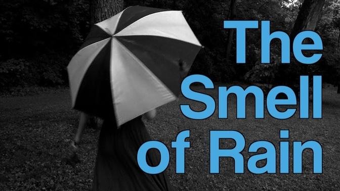 The Smell of Rain | A Moment of Science | PBS
